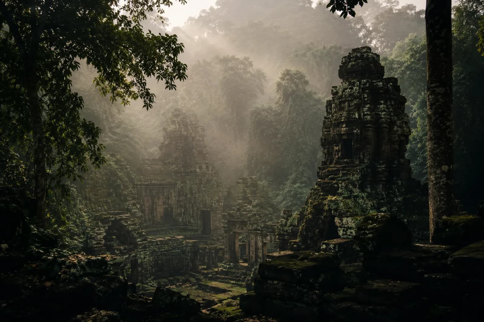 ANIMA Thailand Edition — Southeast Asia